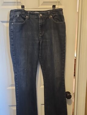 Chico's Platinum Jeans in Dark Blue Wash